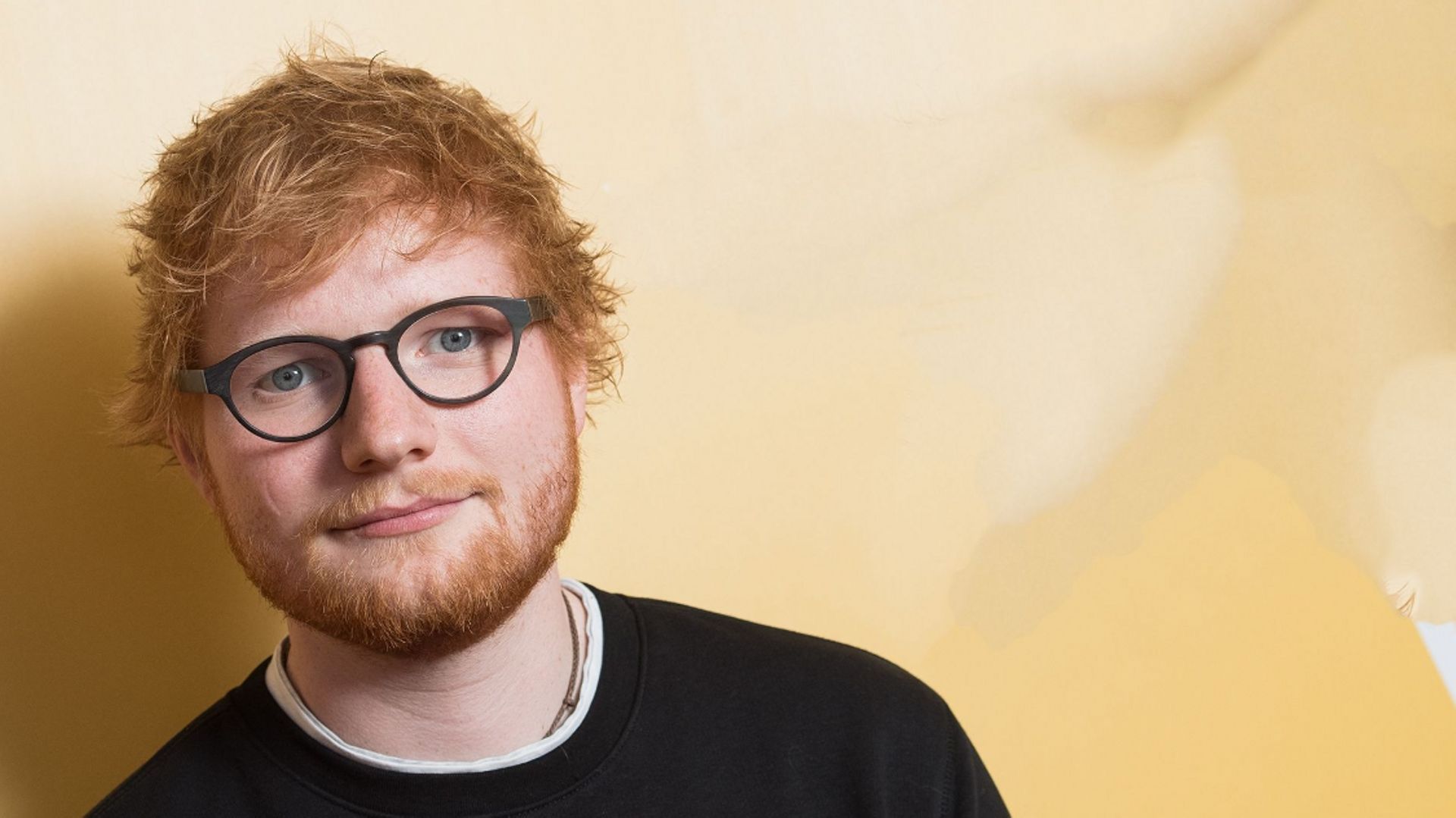 Un fan d'Ed Sheeran a été suivi par deux individus, juste avant le concert.