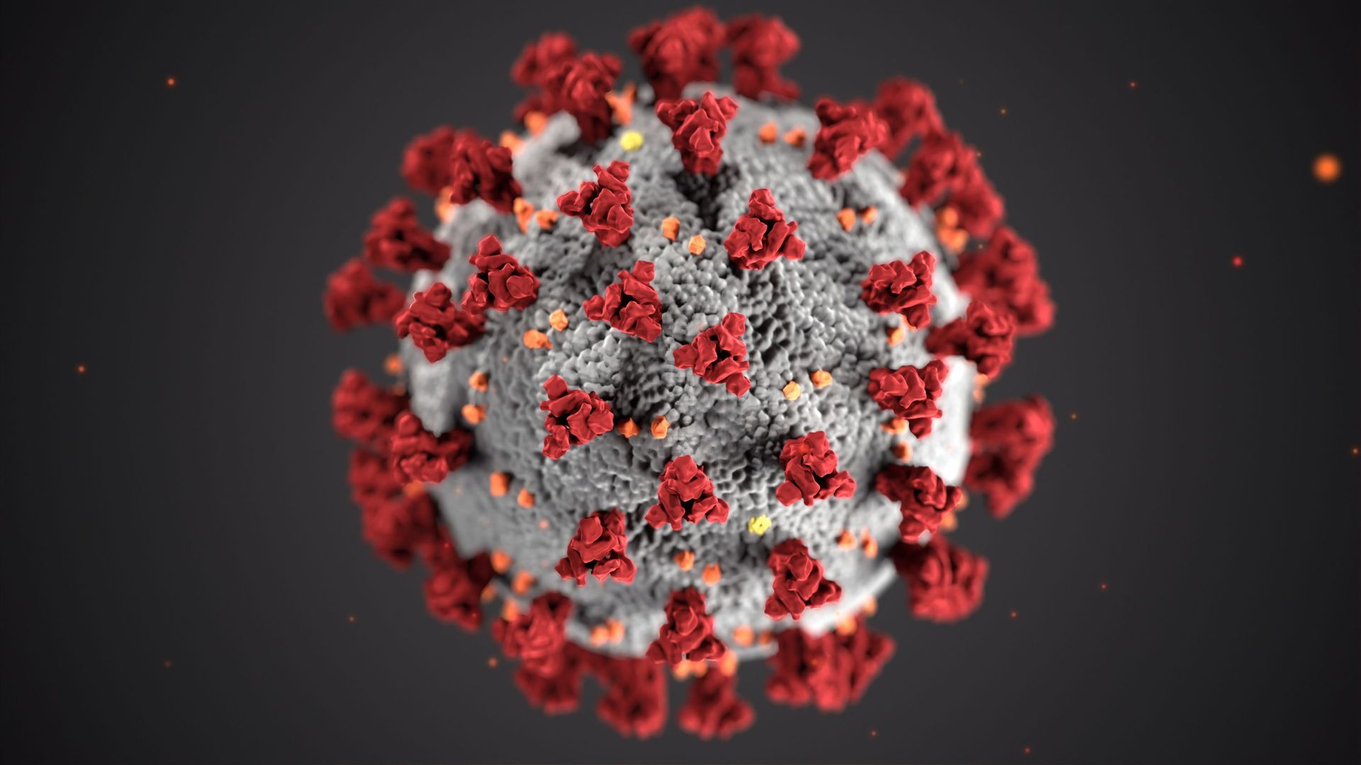 Deux modification de la protéine S du virus sont observable sur la nouvelle variante britannique du virus