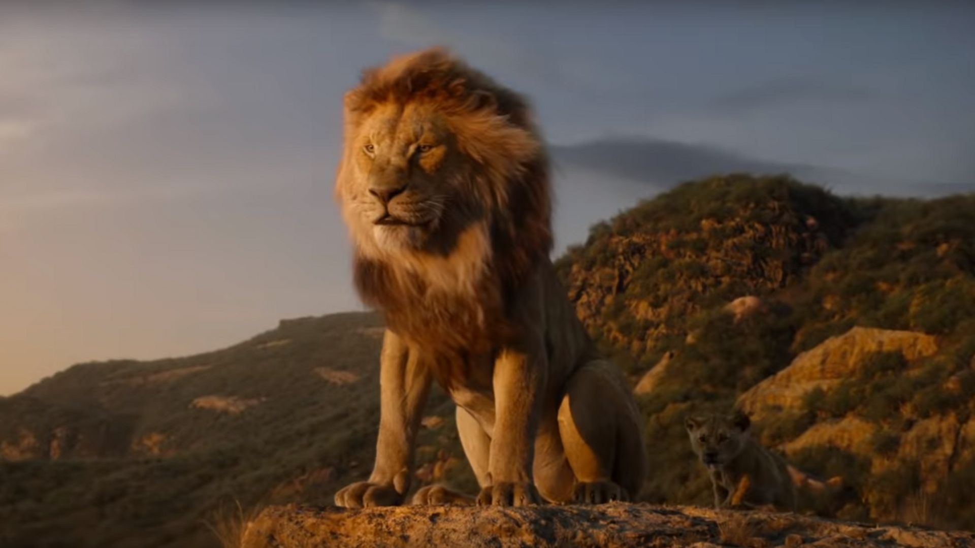 Le Roi Lion en prises de vues réelles bientôt au cinéma