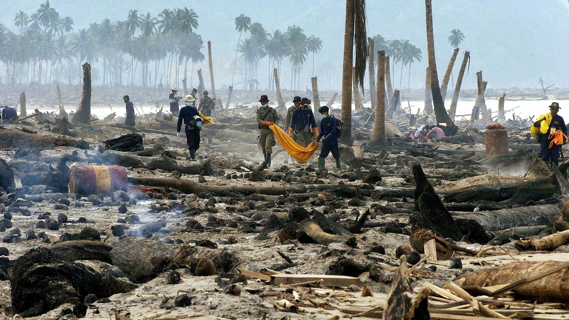 il-y-a-20-ans-le-tsunami-ravageait-l-asie-du-sud-est-et-secouait-toute