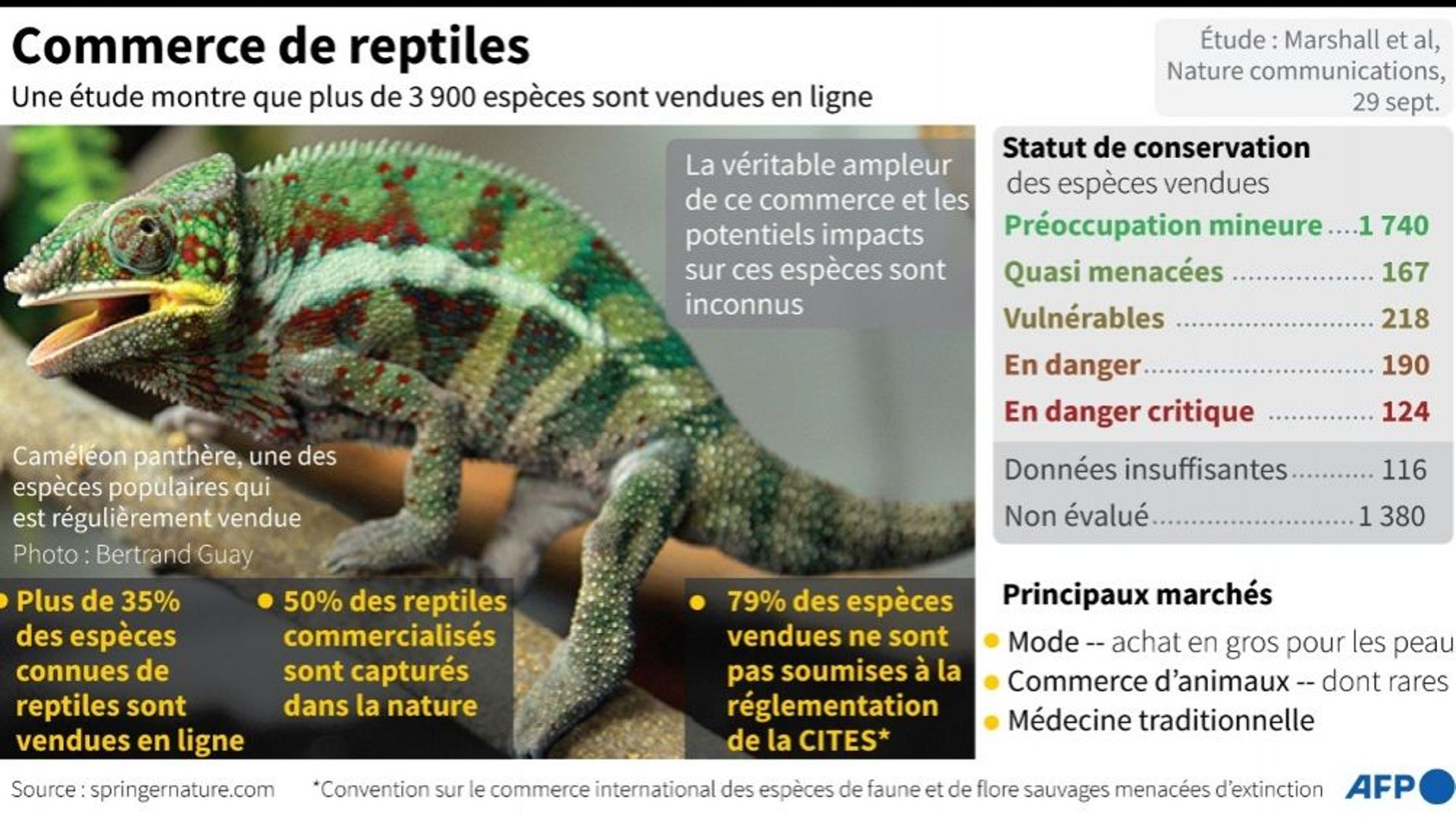 Commerce de reptiles