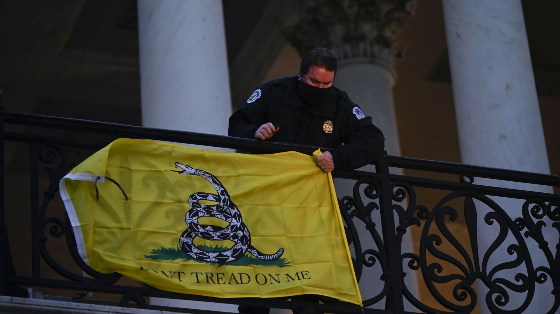 Le symbole des libertariens mais aussi des pro-armes: le Gadsden Flag.