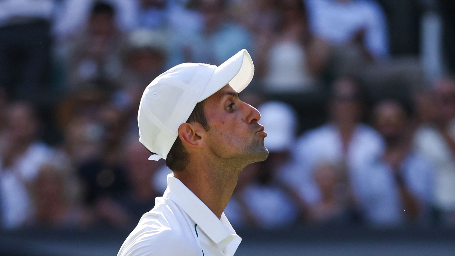 Novak Djokovic à Wimbledon.