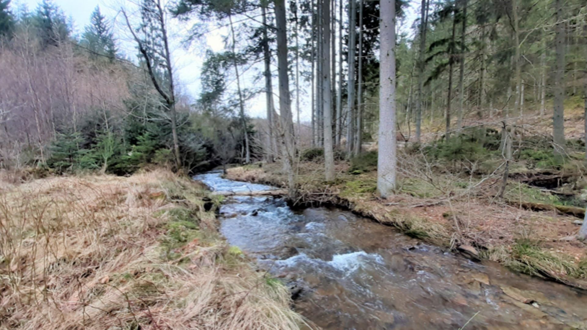 La réserve naturelle de Souhy-Reharmont est traversée par le ruisseau le Bâleur.