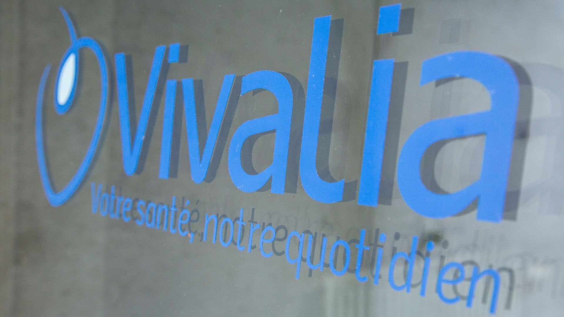 Logo Vivalia