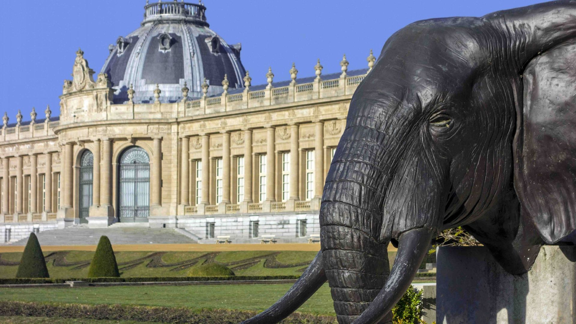 Du Musée royal de l’Afrique centrale (MRAC) à l’Africa Museum : genèse d’une transformation critiquée