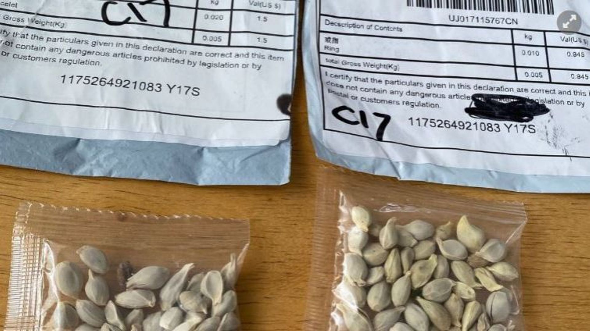 Une habitante de Manage a reçu des graines en provenance de Chine : l’Afsca recommande la prudence