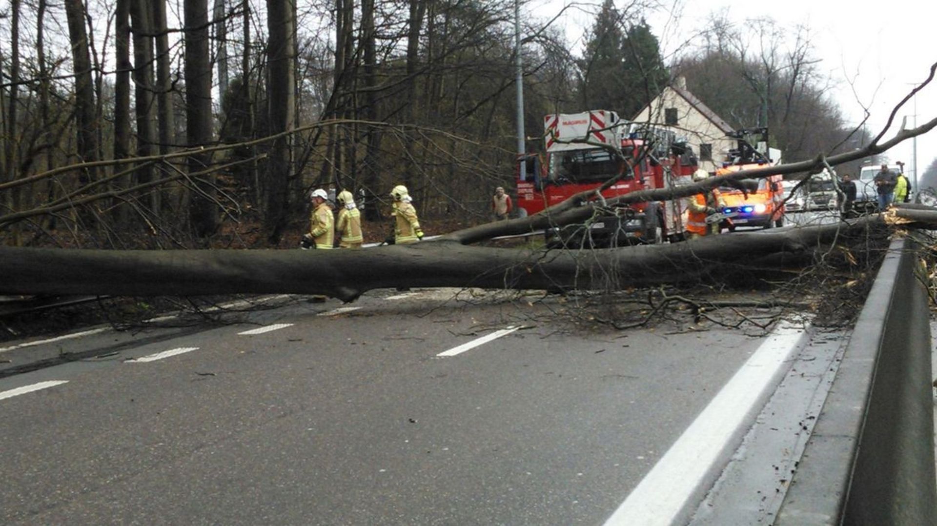 Le vent violent provoque 100 victimes par an : comment prendre la route ?