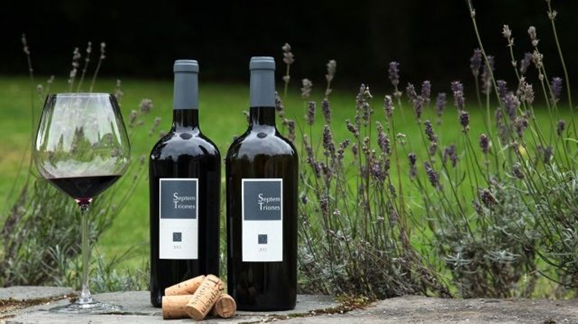 Jean Galler, un passionné de vignes a produit le premier vin certifié bio et wallon