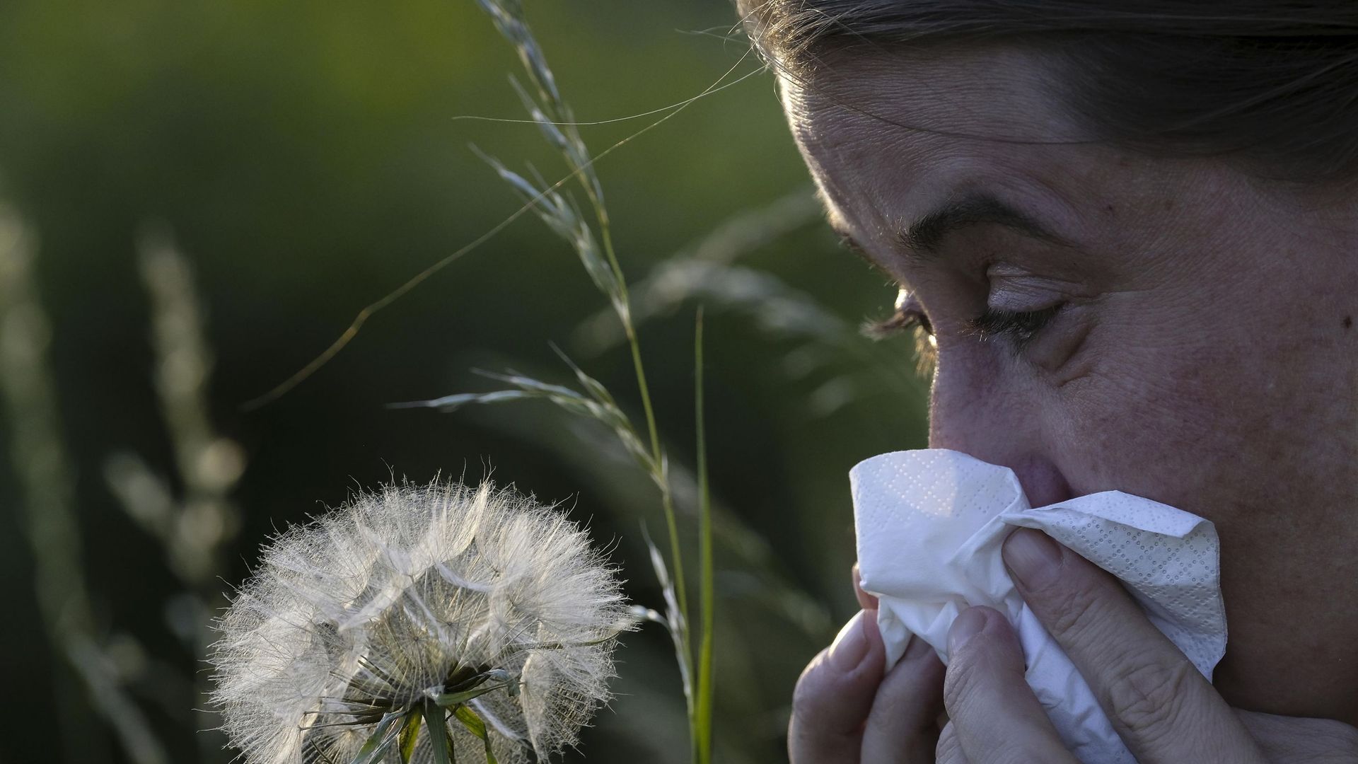 debut-de-la-periode-critique-pour-les-allergiques-au-pollen-des-graminees