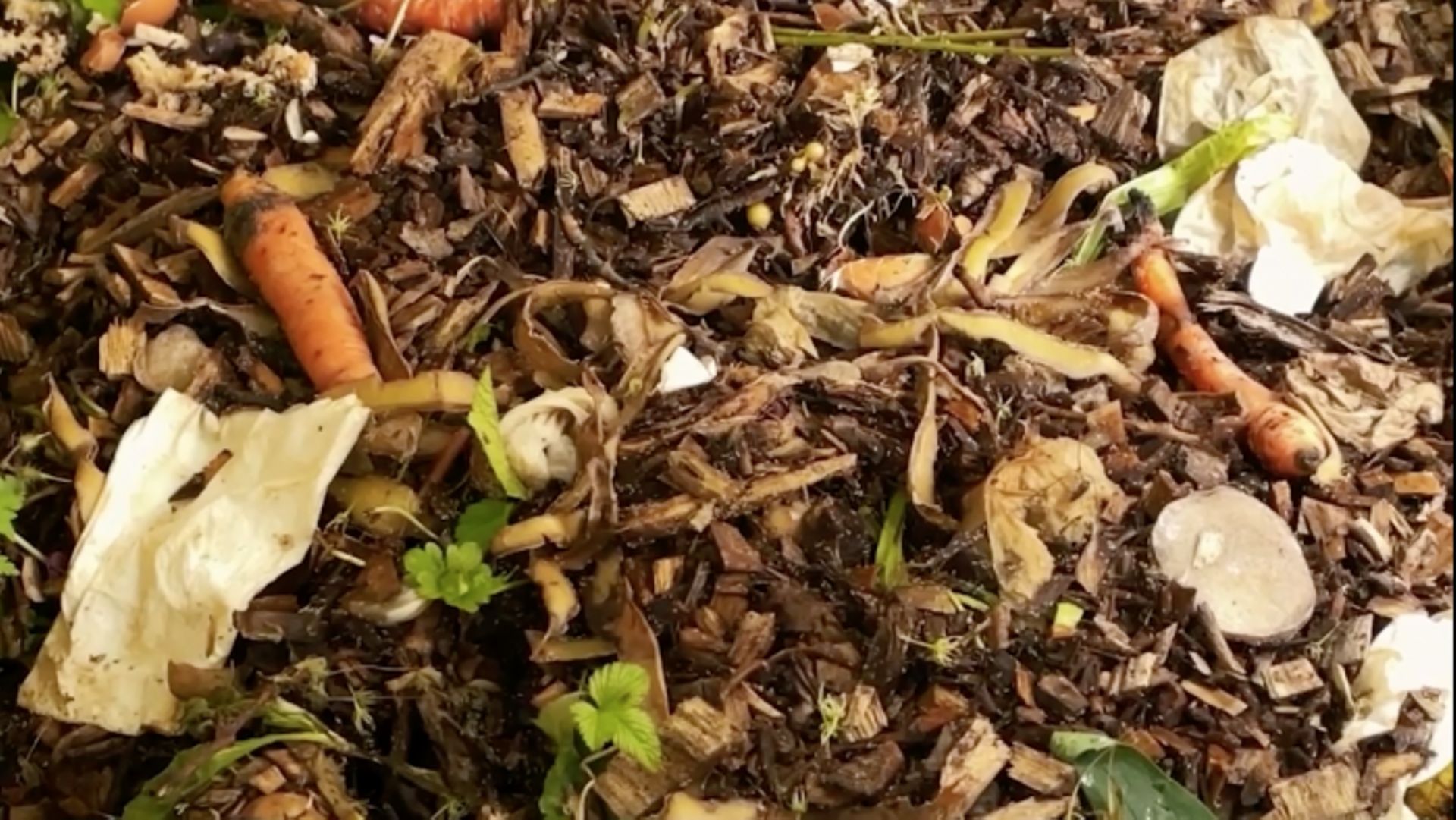 Compost Days : quatre techniques de compostage comme alternatives au sac orange