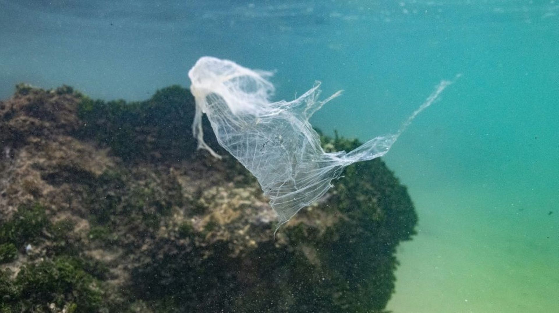 Un sac plastique flotte dans les eaux de l’océan Indien le 31 décembre 2021 près de Galle, au Sri Lanka