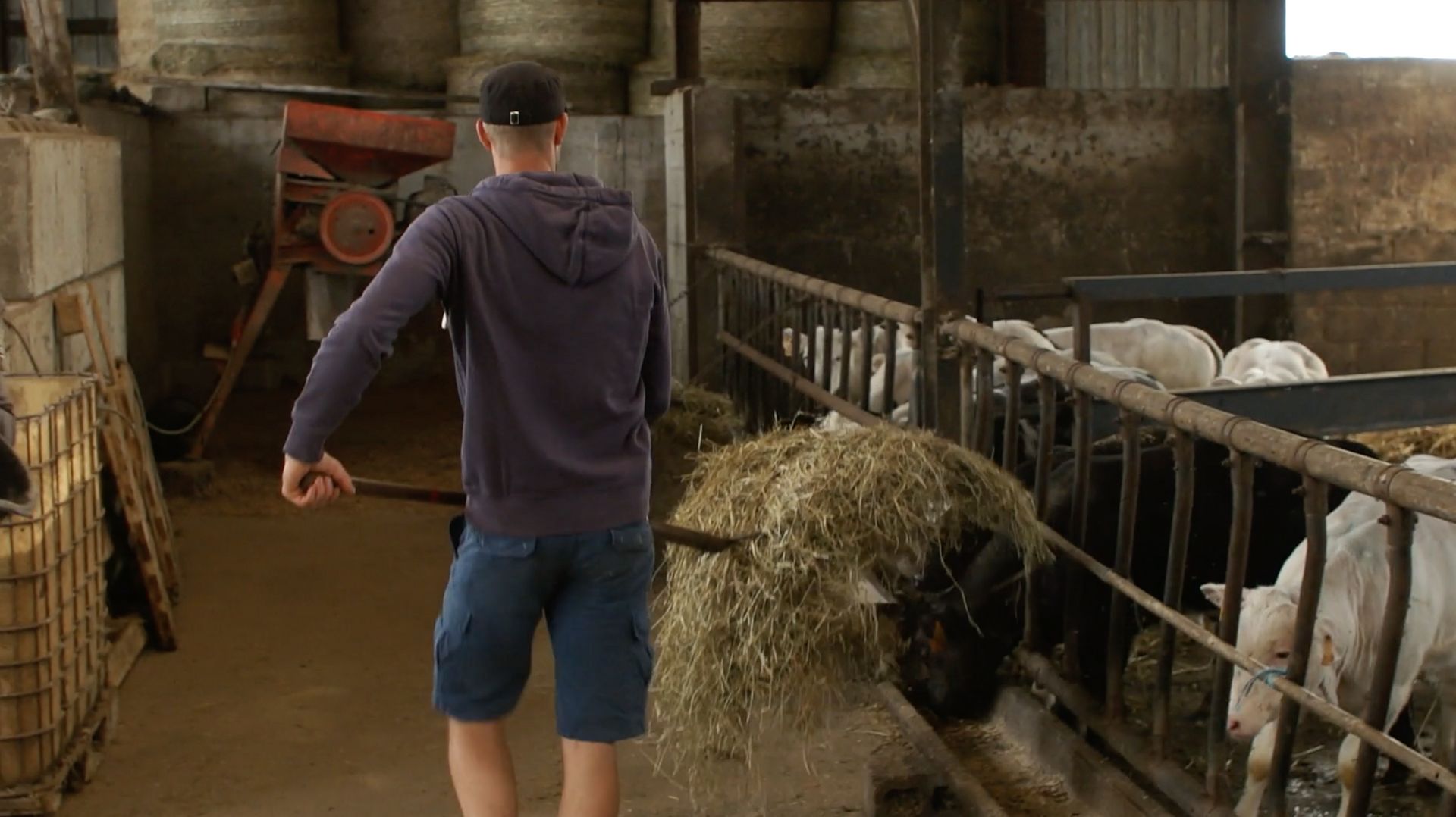 La ferme, une aventure qui se vit à deux RTBF Actus