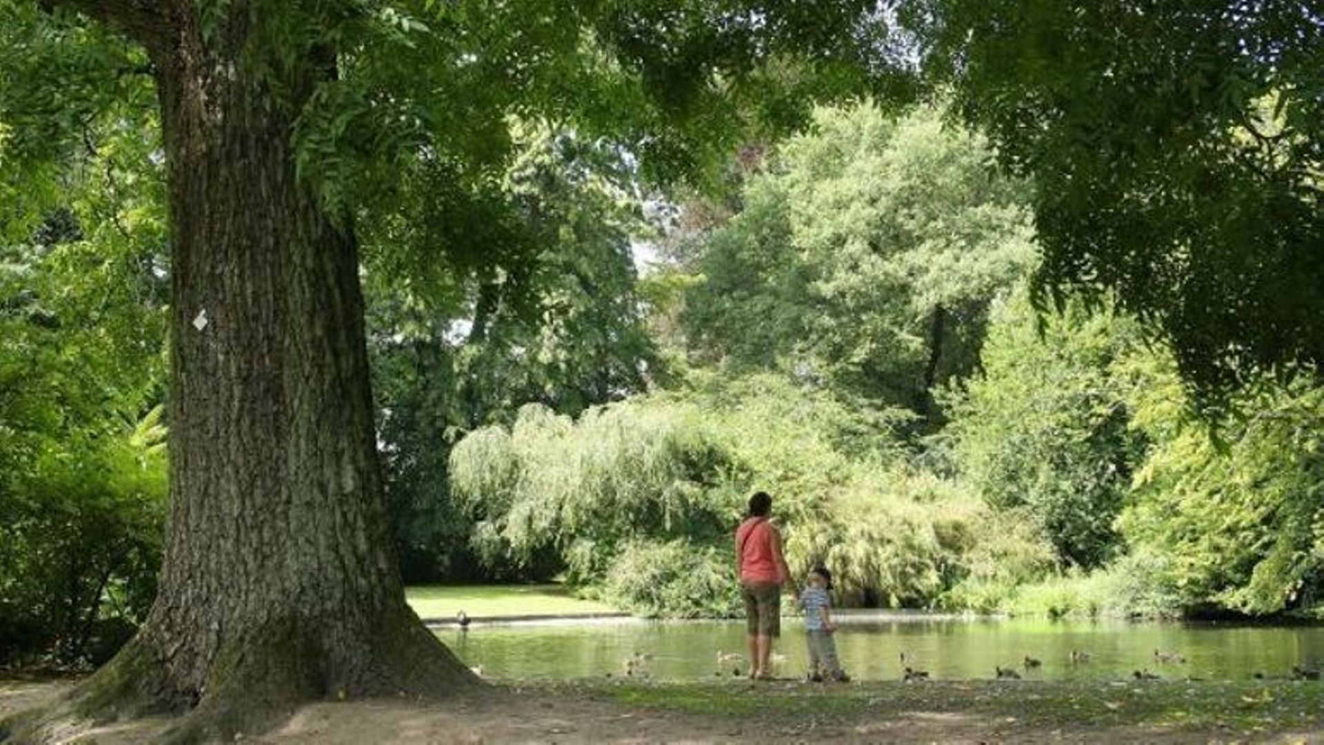 Parc de Mariemont