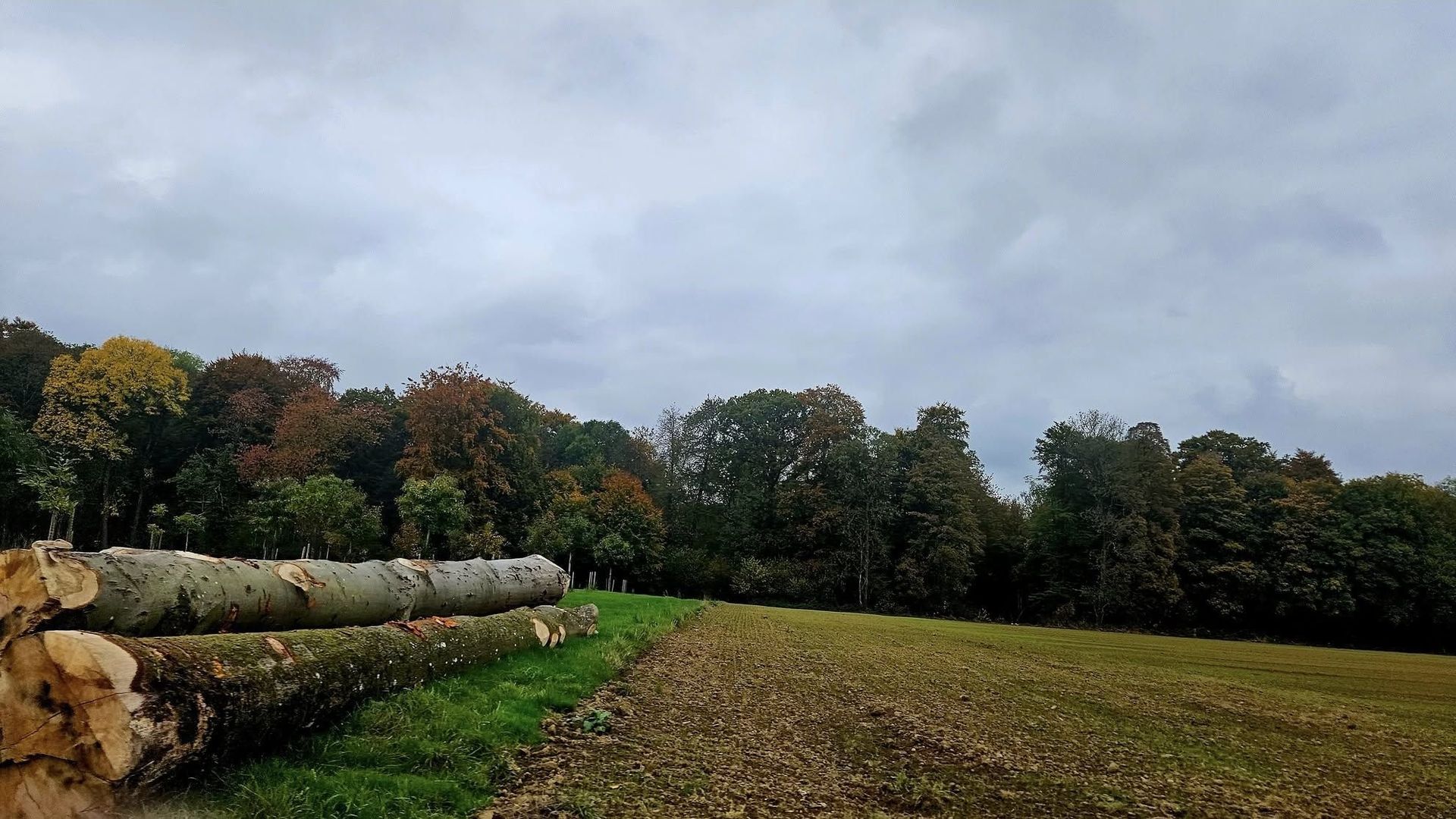 Météo en Belgique : on patientera pour les éclaircies ce jeudi