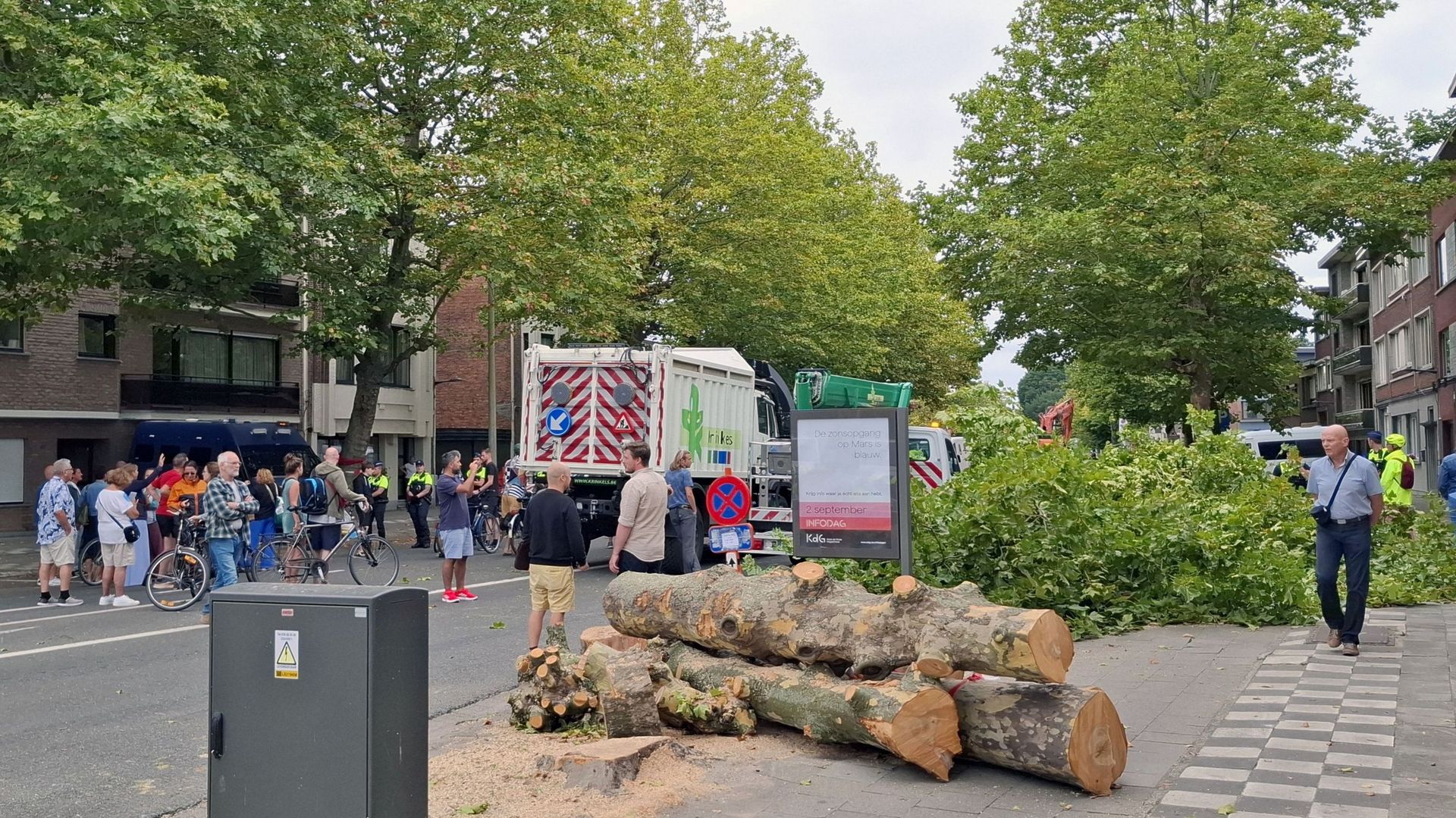 Polémique en Flandre : la population et les autorités communales s'écharpent autour de l'abattage de 62 arbres à Deurne (Anvers)