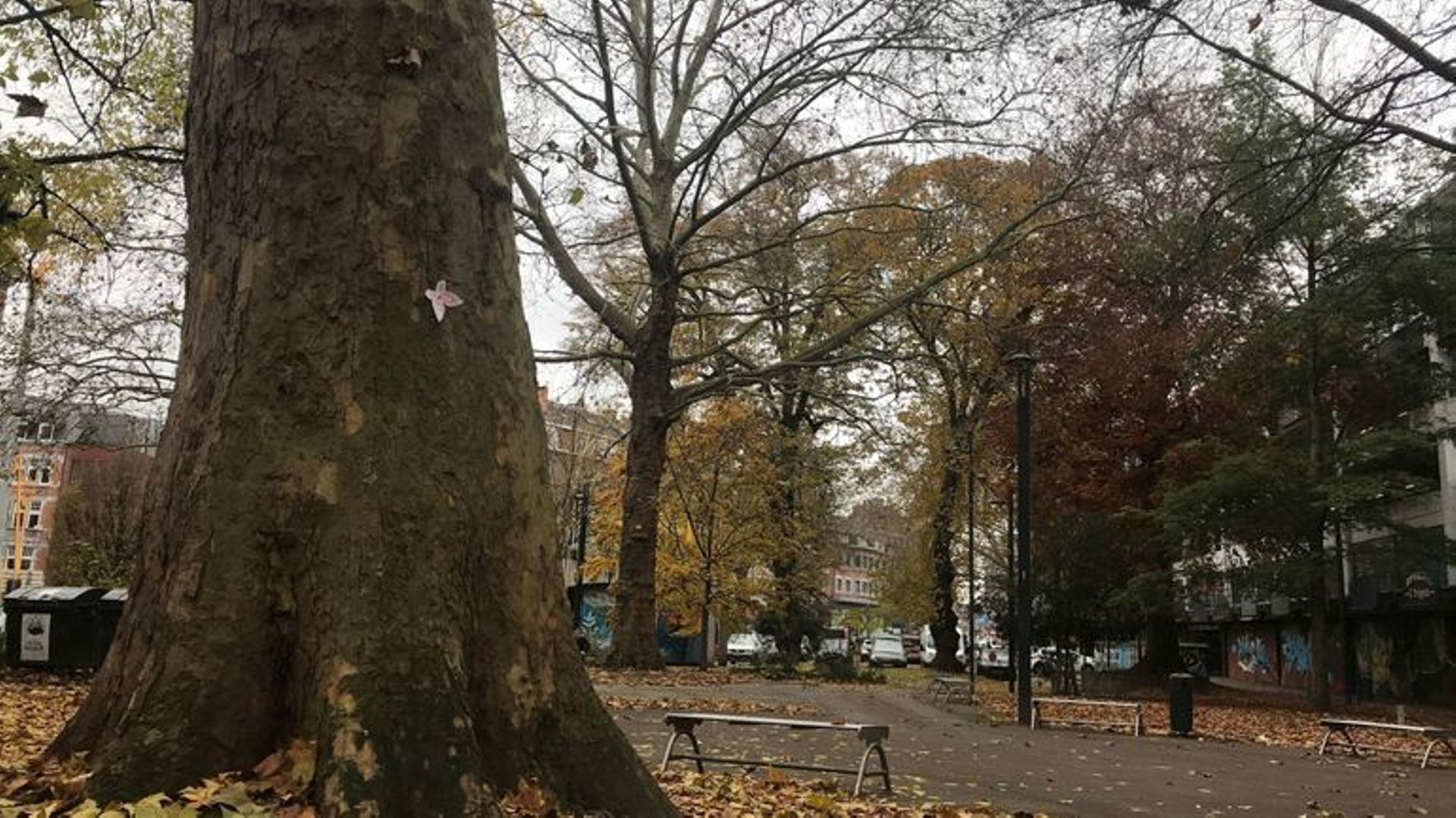 Le square Léopold