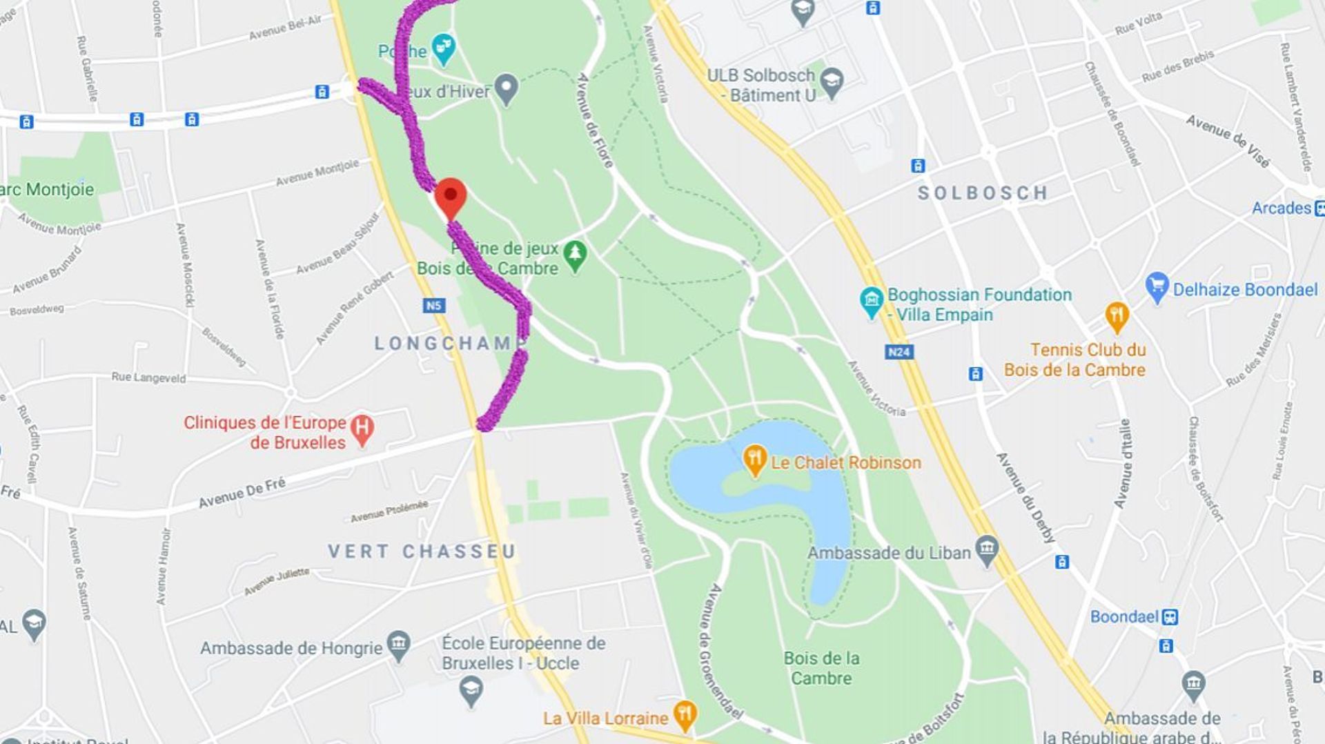 En mauve, la seule voirie qui resterait ouverte au trafic automobile selon la proposition de la Ville de Bruxelles. Elle serait accessible dans les deux sens et permettrait de connecter trois entrées du Bois.