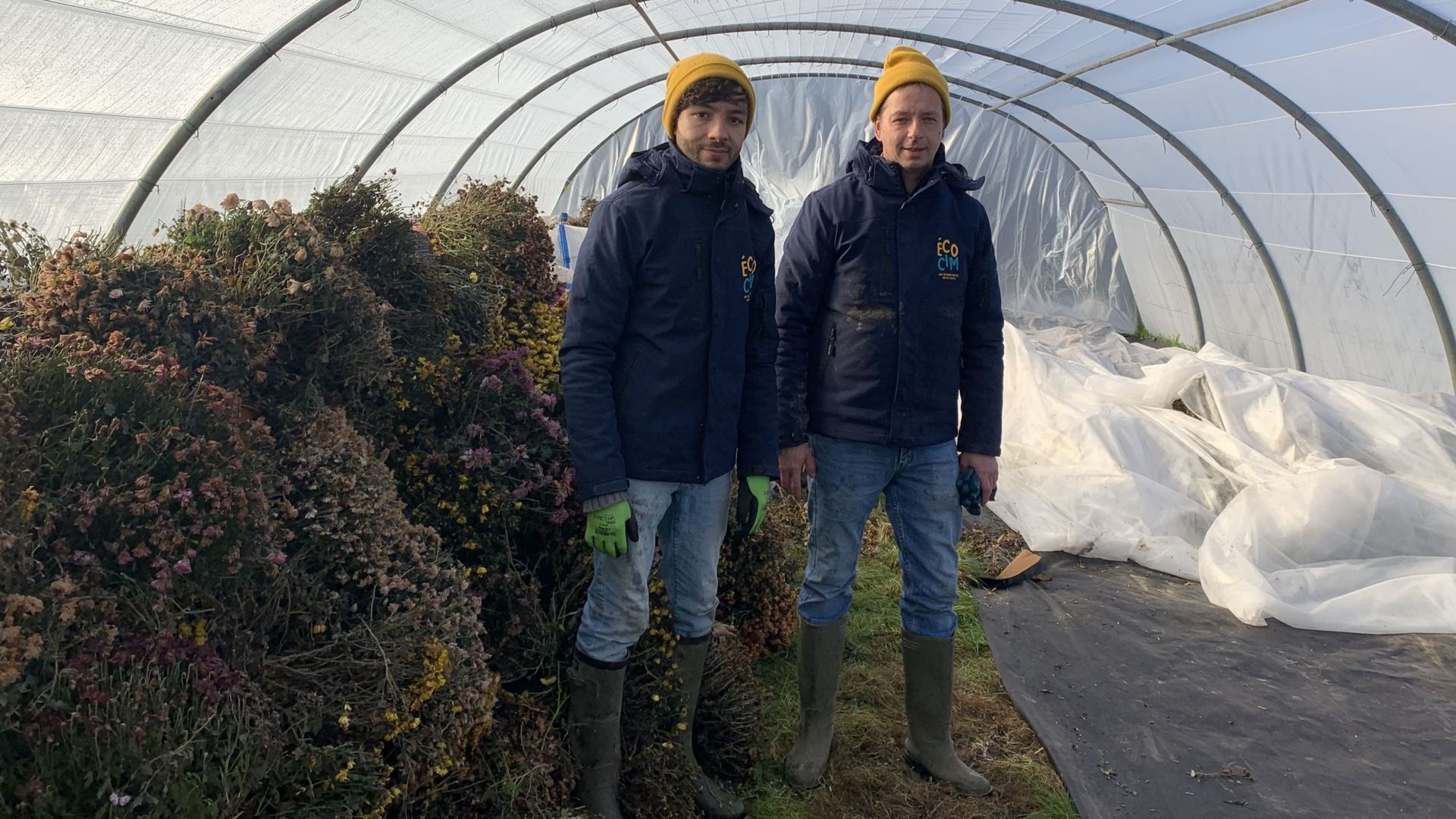 Kevin et Christophe ont créé Ecocim pour recycler les chrysanthèmes des cimetières
