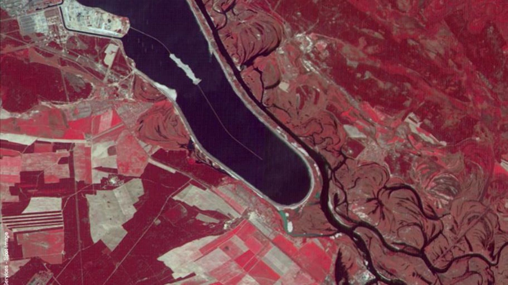 Le satellite Spot montre des arbres "rouges", c’est dû à la forte radiation