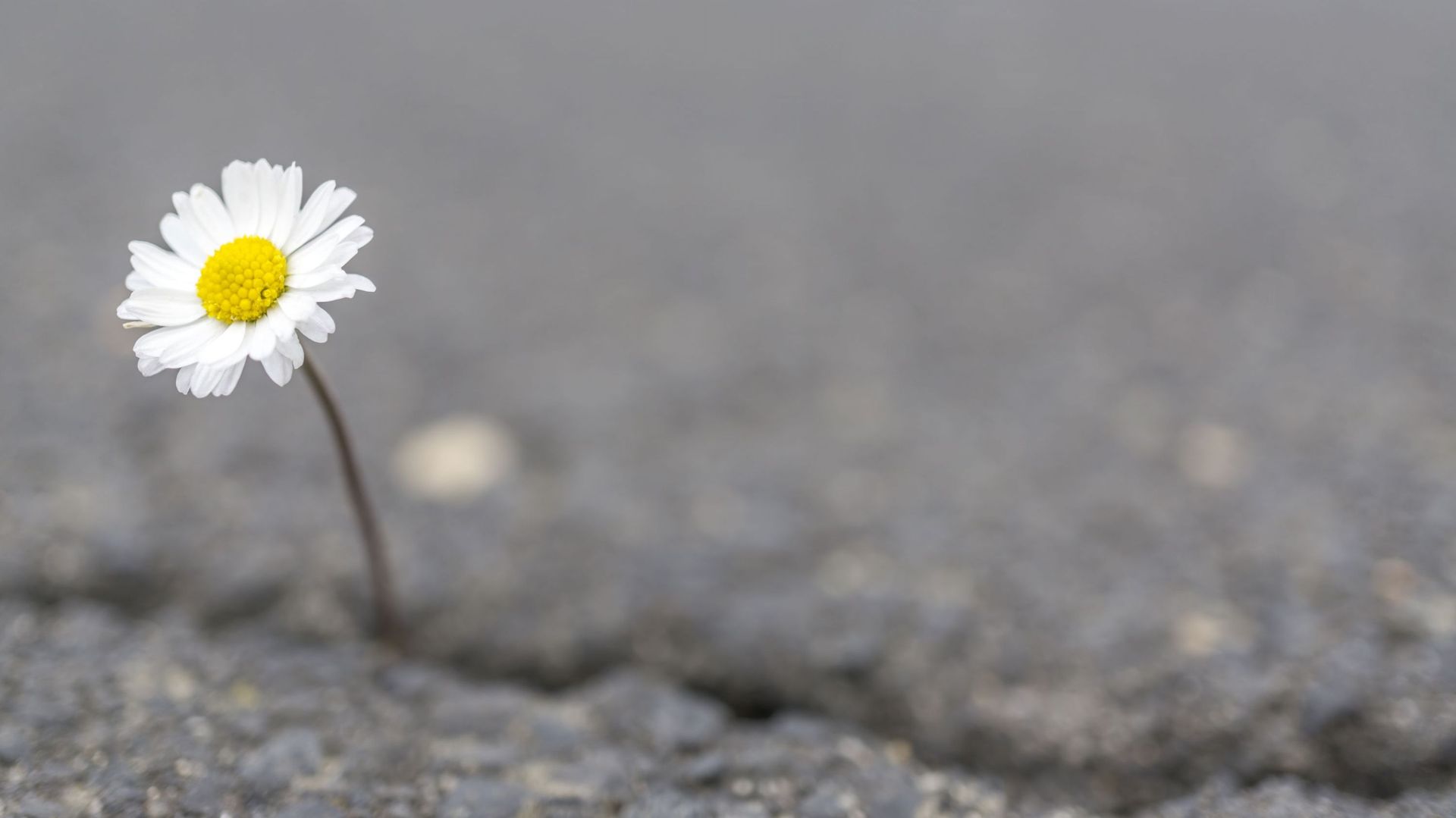 Vivre le confinement du bon côté, des mentors nous inspirent
