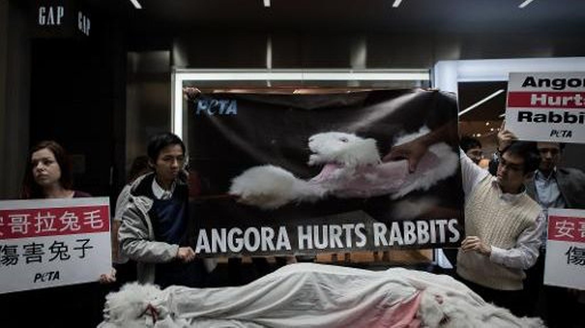 Manifestation à Hong Kong contre la maltraitance des lapins dans la production d'angora, le 8 janvier 2014