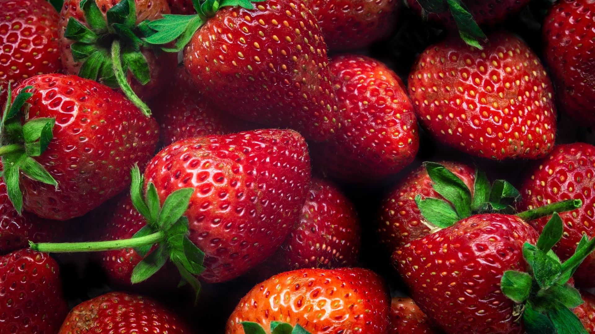 "Frozé" :  la fraîcheur des fraises.
