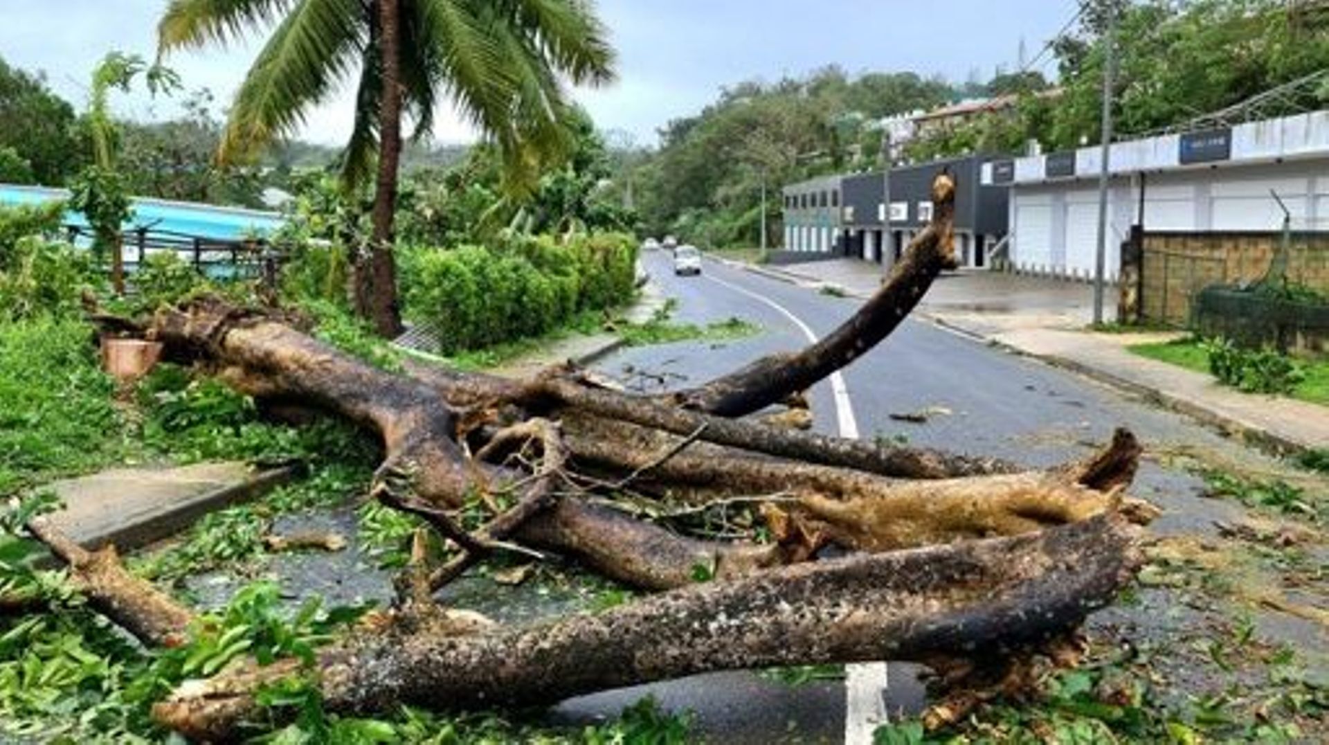 This handout picture taken on March 1, 2023 and released by Jean-Baptiste Jeangène Vilmer, French Ambassador to Vanuatu and Solomon Islands, shows a road blocked by the uprooted trees after Cyclone Judy made landfall in Port Vila, Vanuatu. Jean-Baptiste