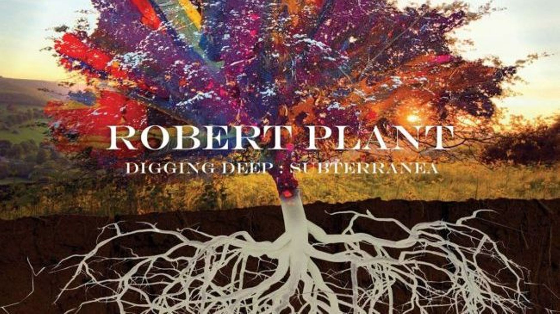 Robert Plant partage un classique rockabilly