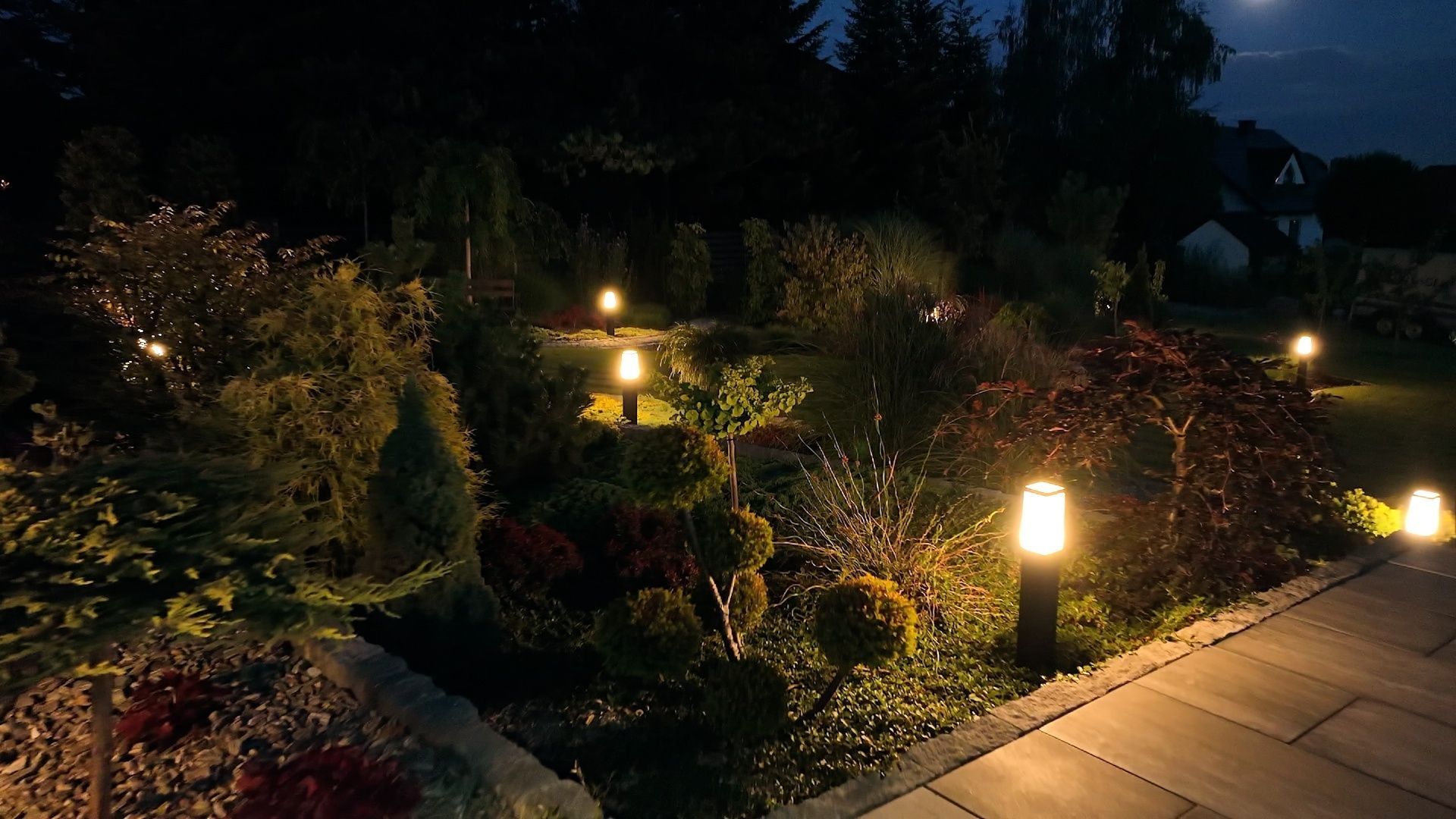 Pollution lumineuse : quels impacts sur la nature et notre santé ?