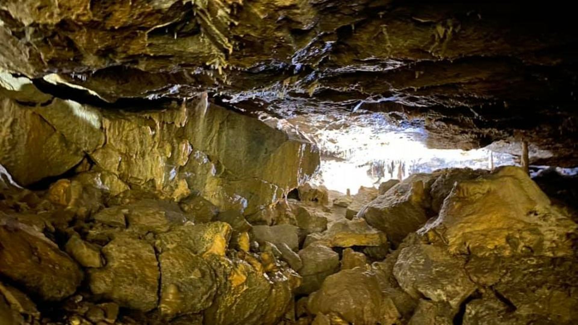 Les Grottes de Hotton, patrimoine exceptionnel à (re)découvrir
