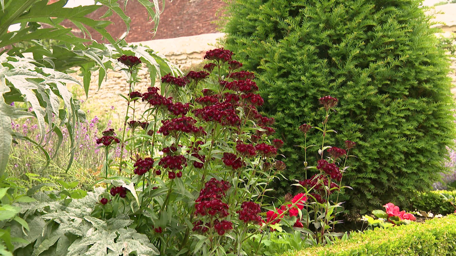 Le jardin du presbytère de Chédigny
