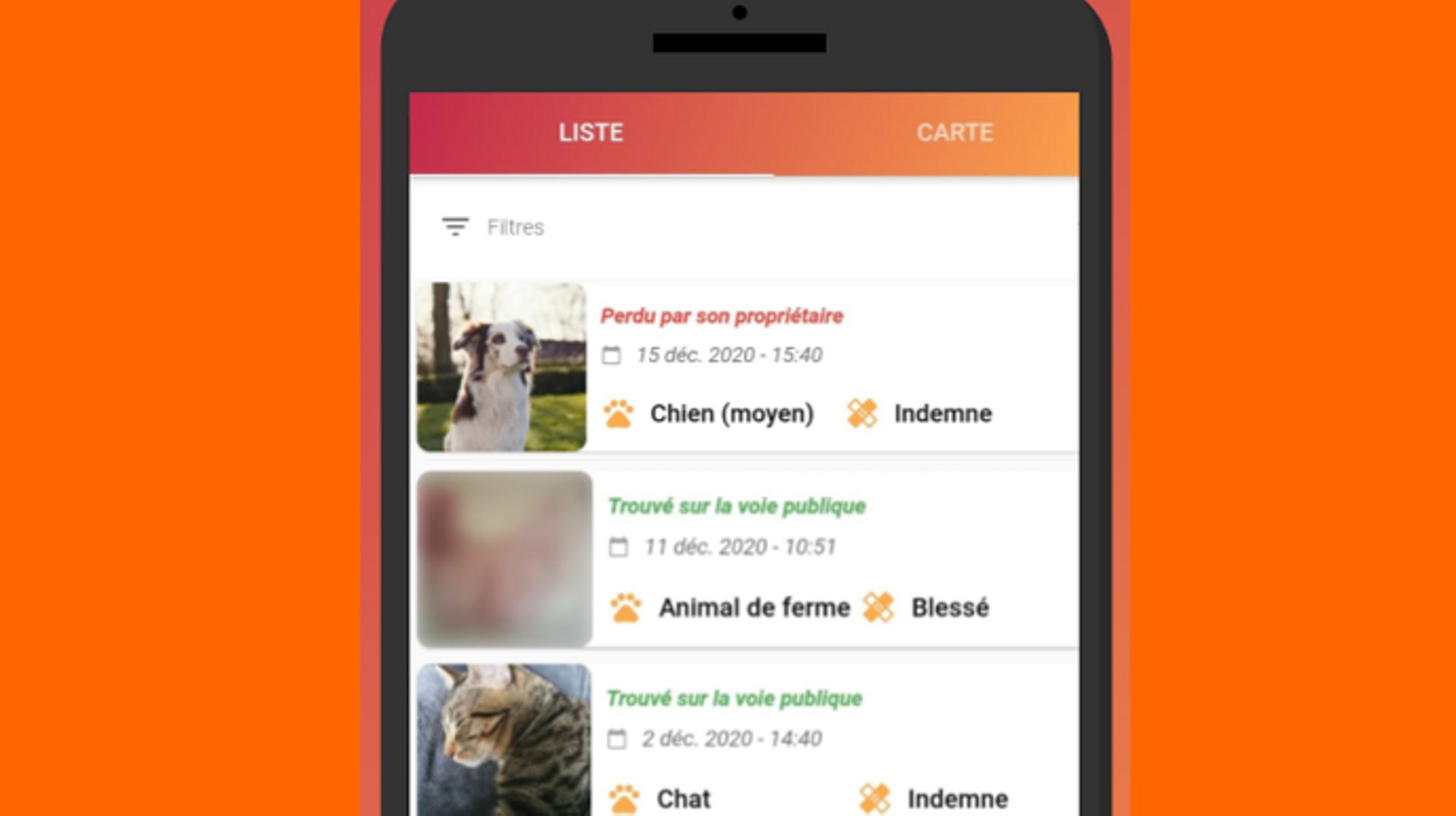 Une nouvelle appli pour retrouver ou signaler un animal perdu - RTBF Actus