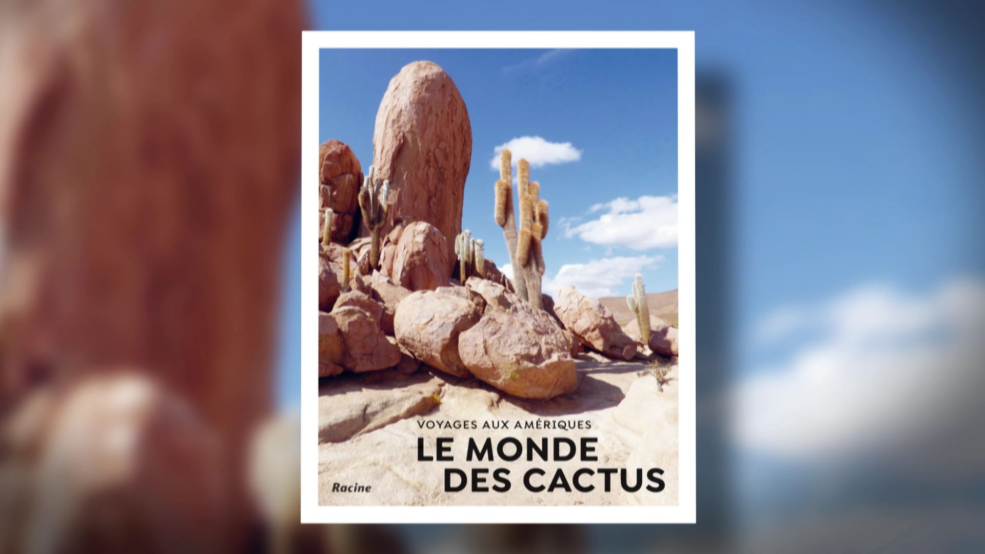 Livre "Le Monde des cactus"