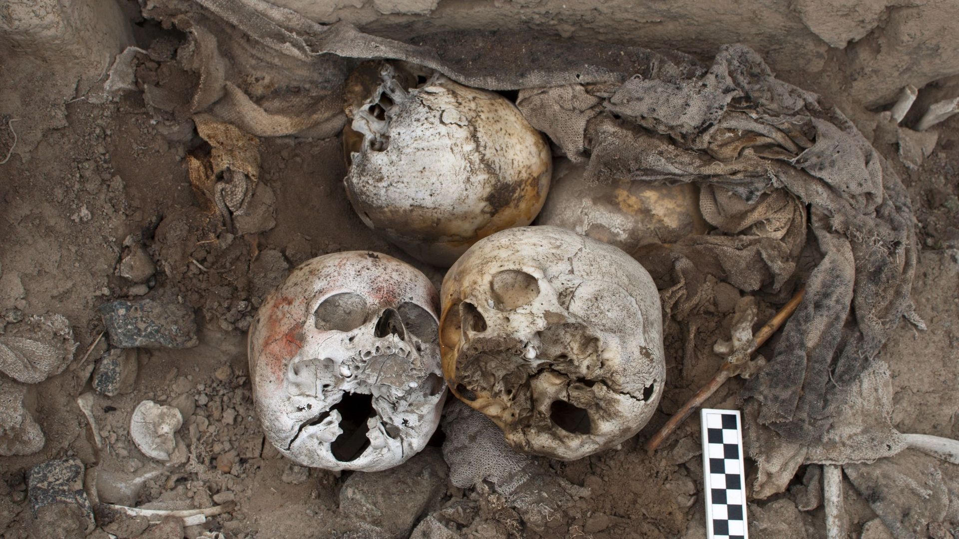 Les restes retrouvés dans les tombes de Chincha.