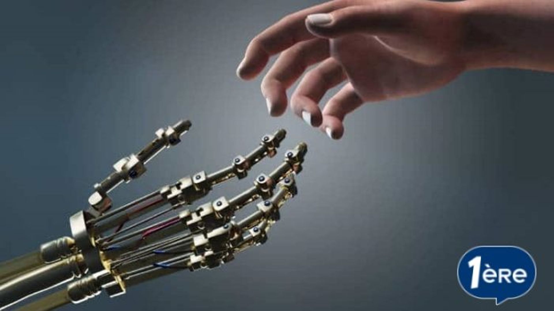 L'intelligence artificielle va-t-elle sauver ou détruire l'humanité ? 
