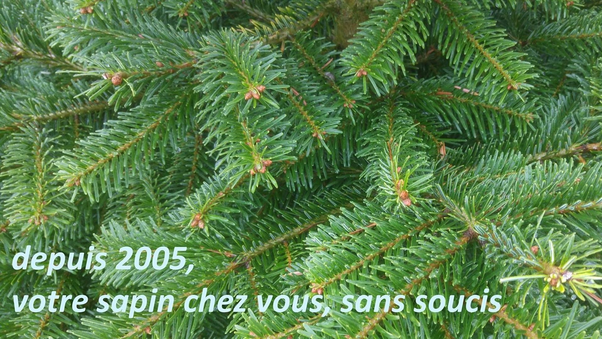 monbeausapin.be