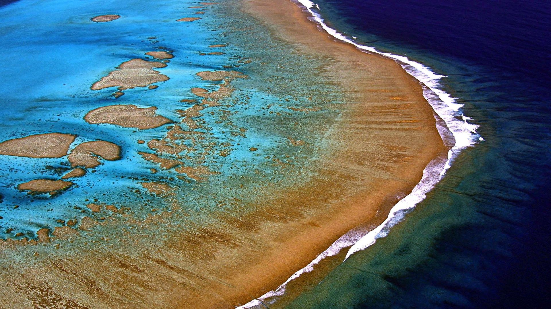 La Grande Barrière de corail subit son 3e blanchiment massif en 5 ans