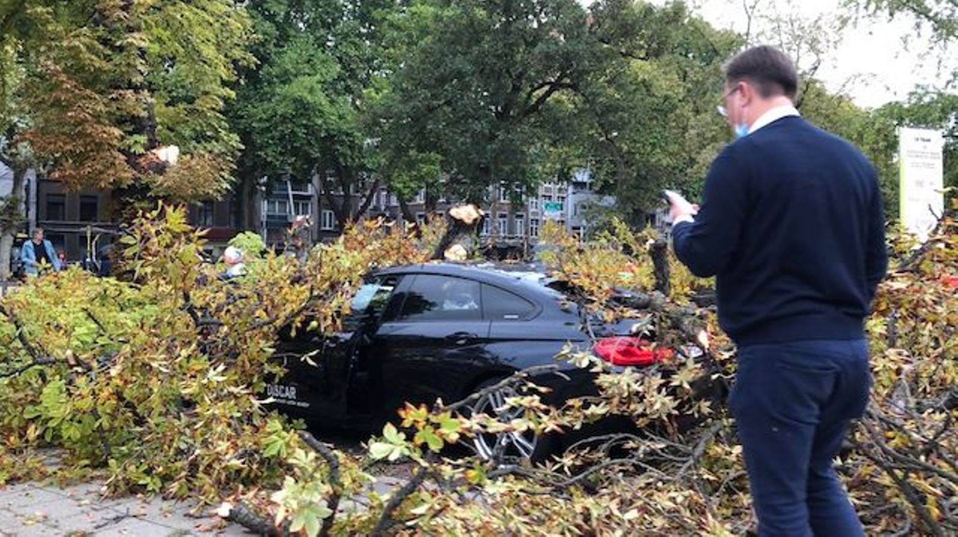 Un arbre écrase plusieurs véhicules au centre de Liège