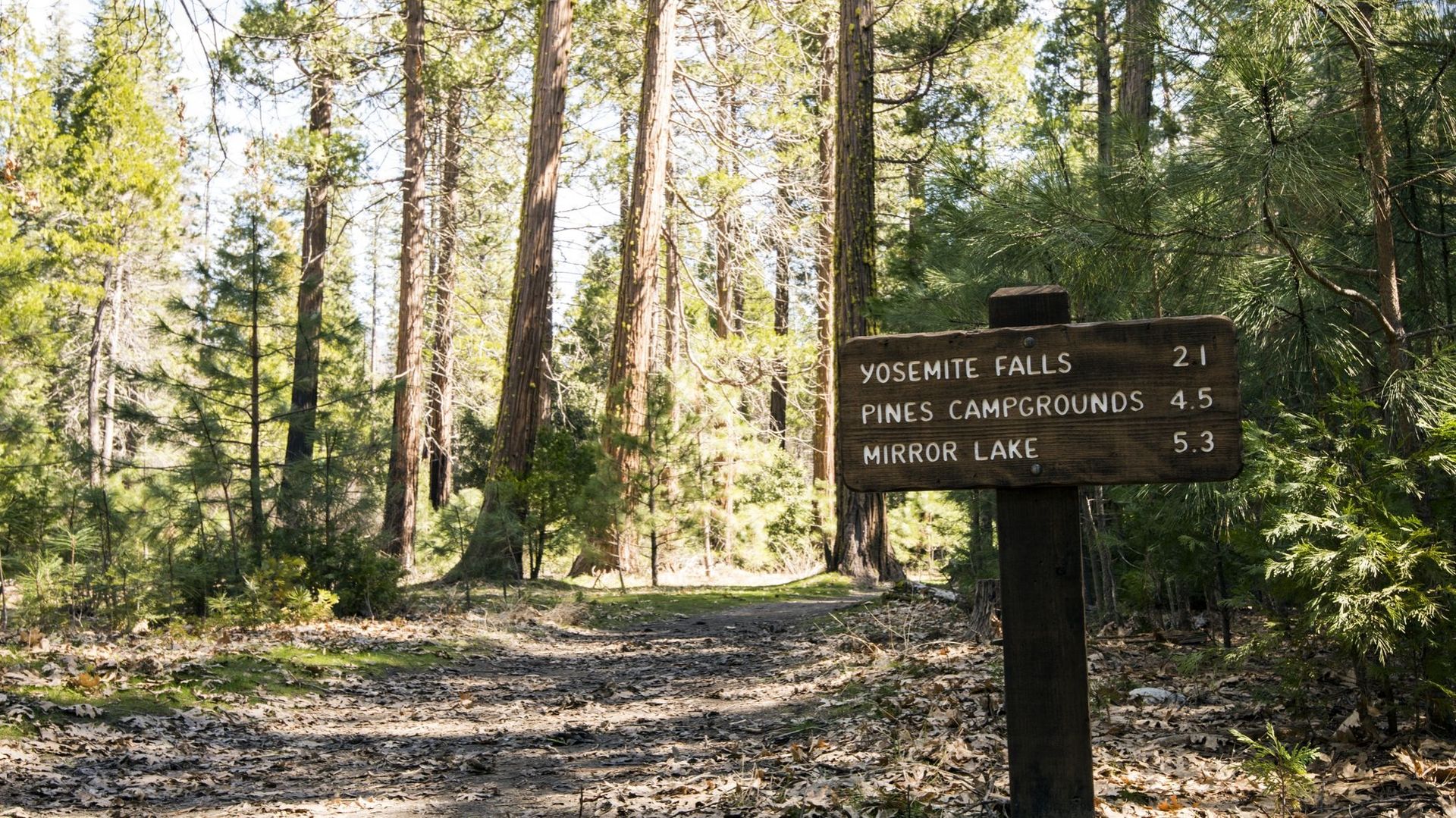 Hiking sign in Yosemite National Park
