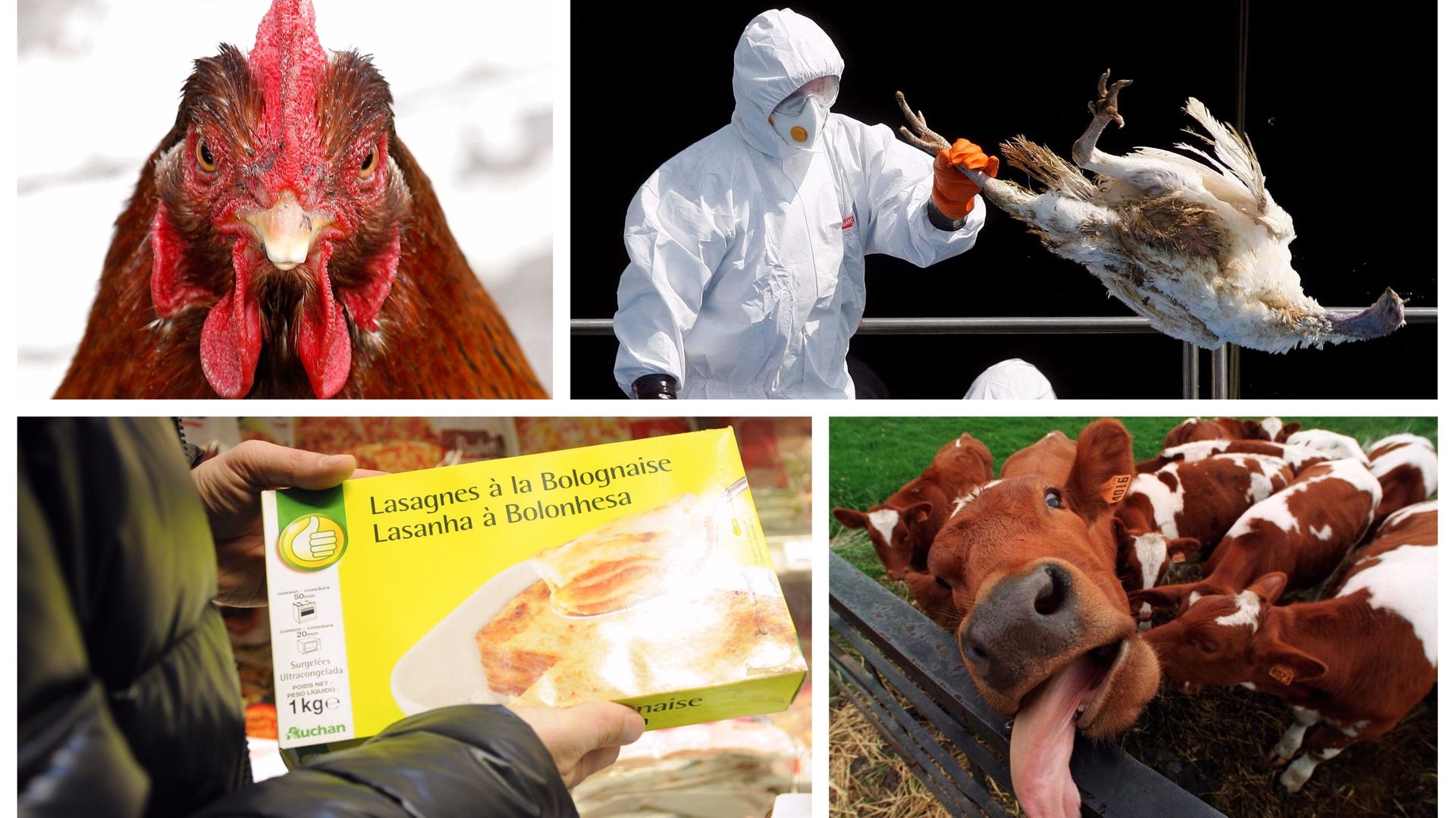 Les conséquences de ces scandales sont désastreuses non seulement pour les producteurs, mais aussi pour les consommateurs, causant parfois des victimes humaines.
