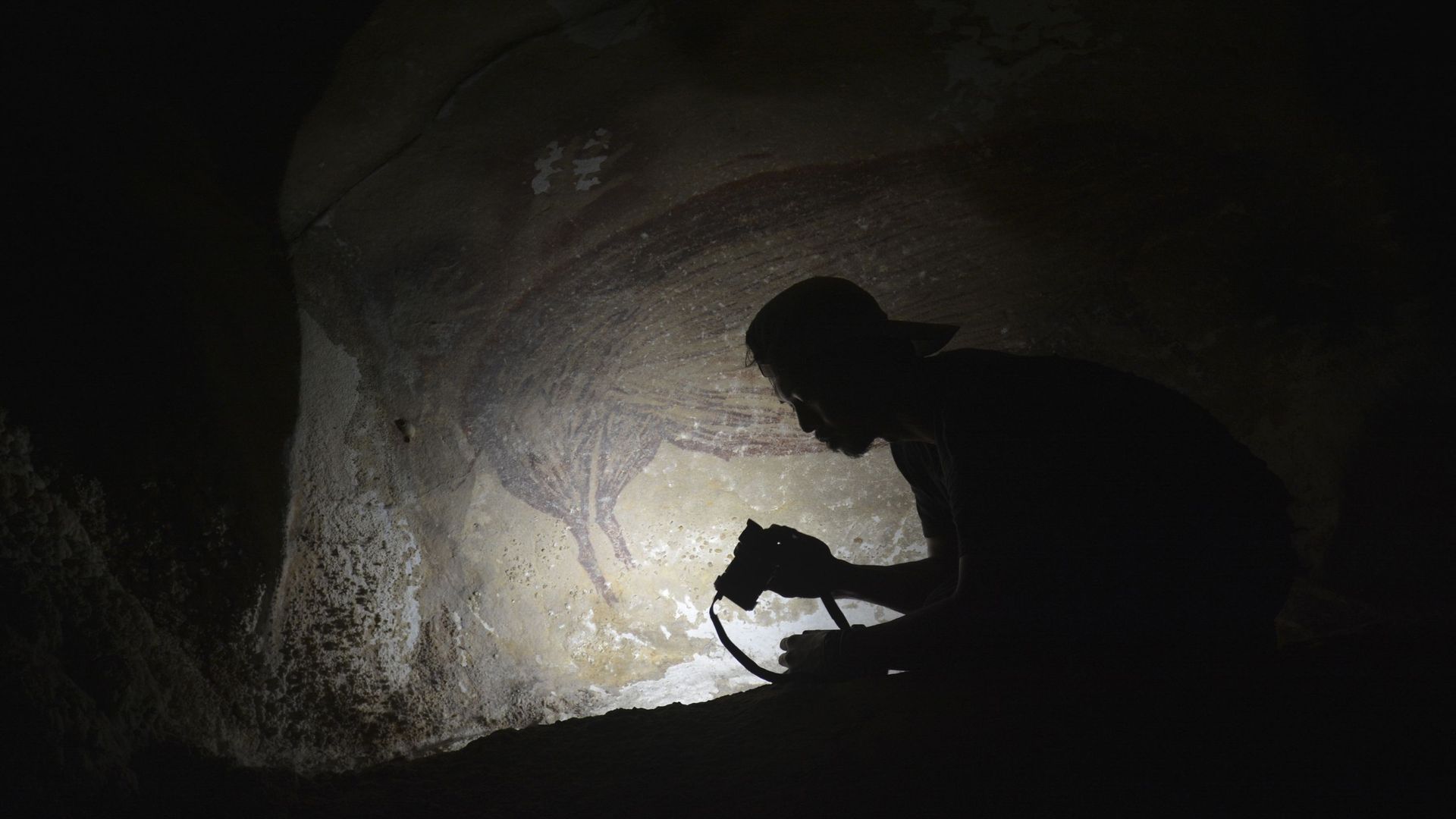 La plus ancienne peinture rupestre au monde découverte en Indonésie