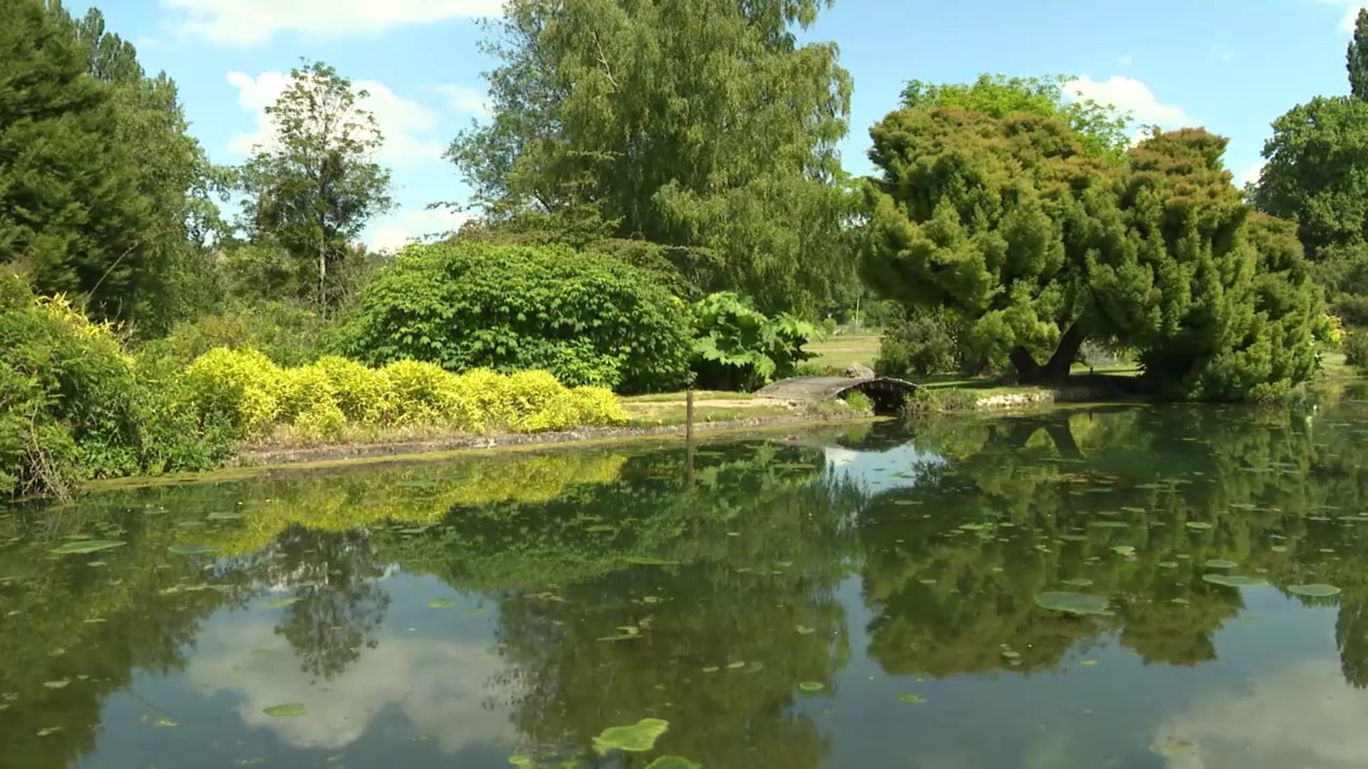 Le jardin du Plessis Sasnières, un jardin remarquable dans le Loir et Cher