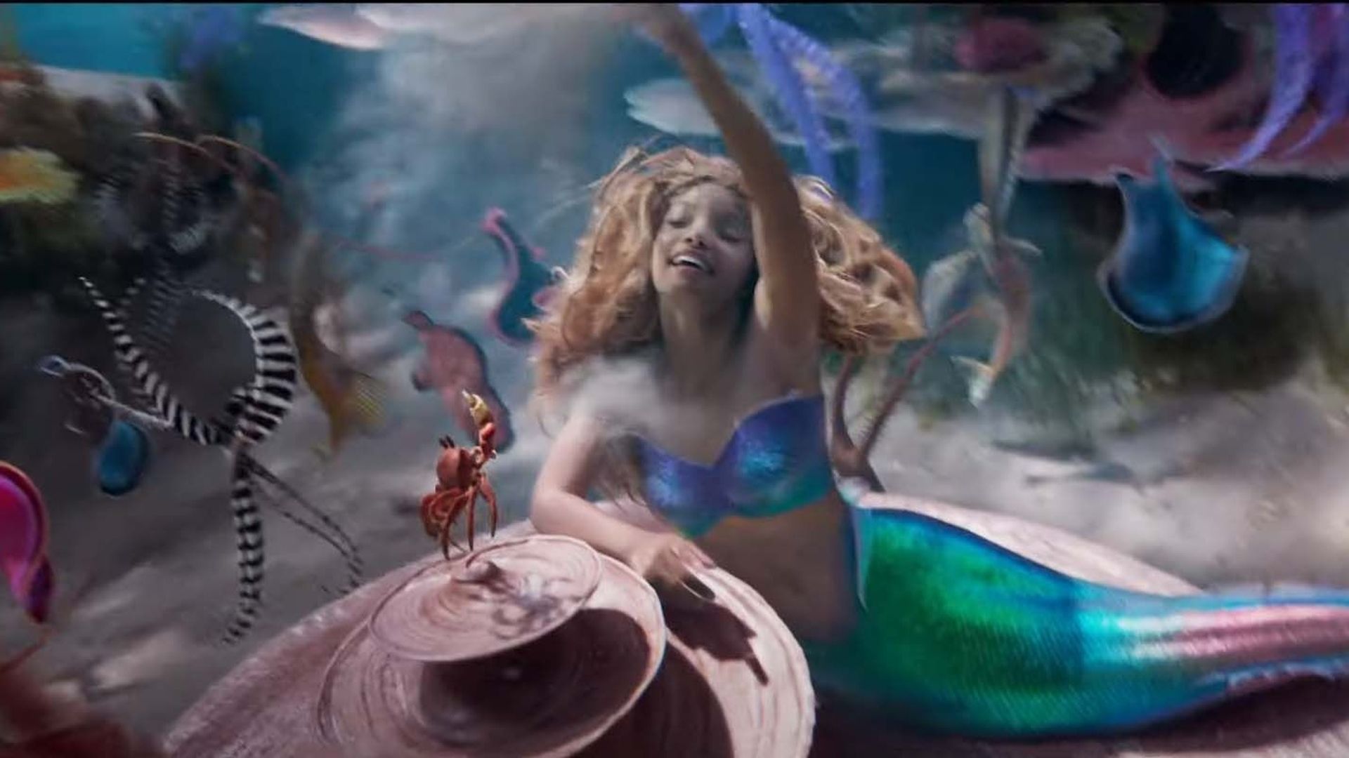 La Petite Sirène » : découvrez qui incarnera Ariel dans le film Disney -  Elle