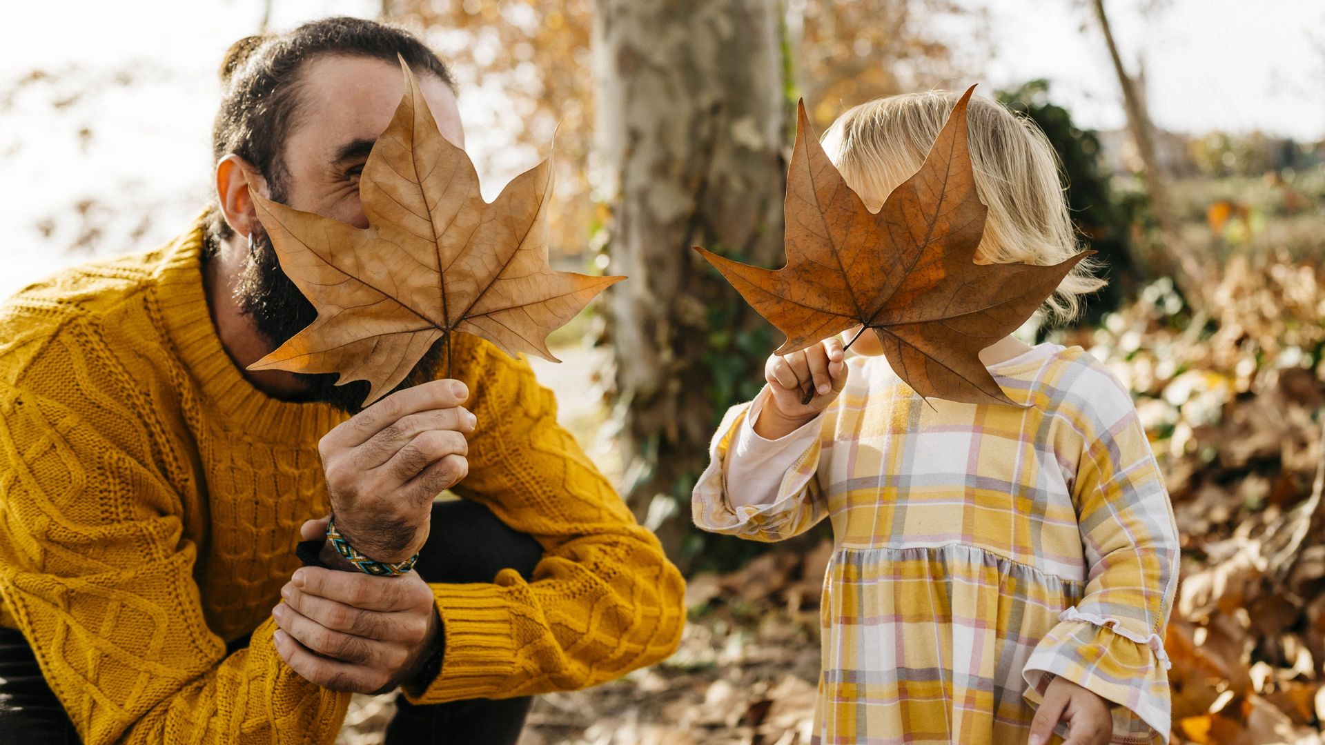 Les activités des vacances d'automne en Wallonie et à Bruxelles