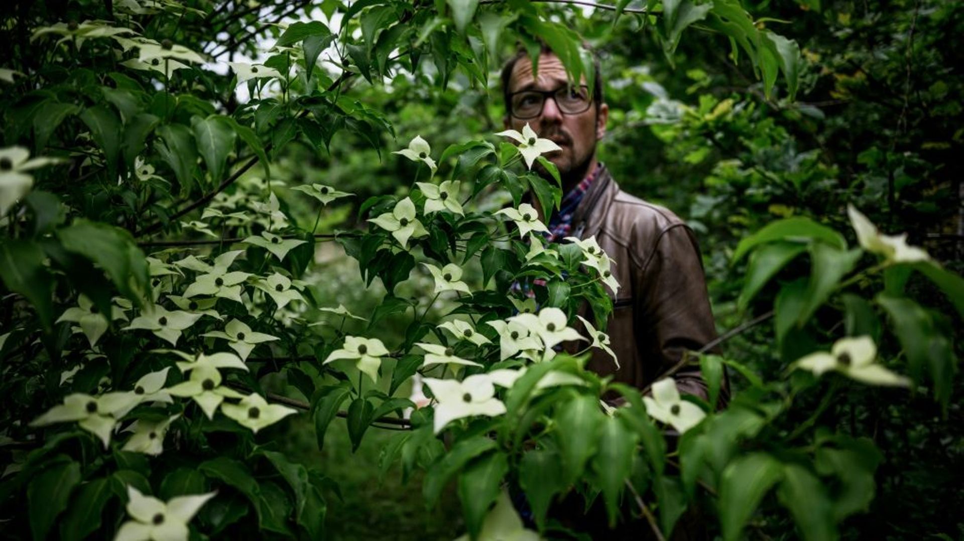 Dans l'est de la France, une forêt à manger pour sauver la planète.