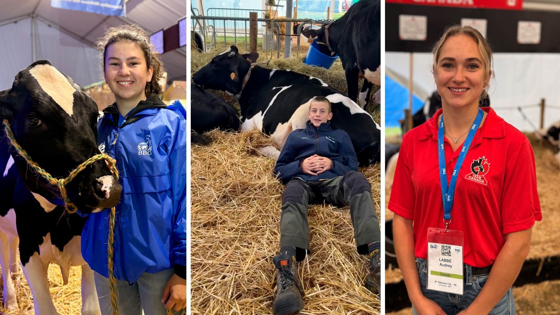 Australie, Canada, Pologne, France… De jeunes éleveurs du monde entier se forment à la foire agricole de Battice