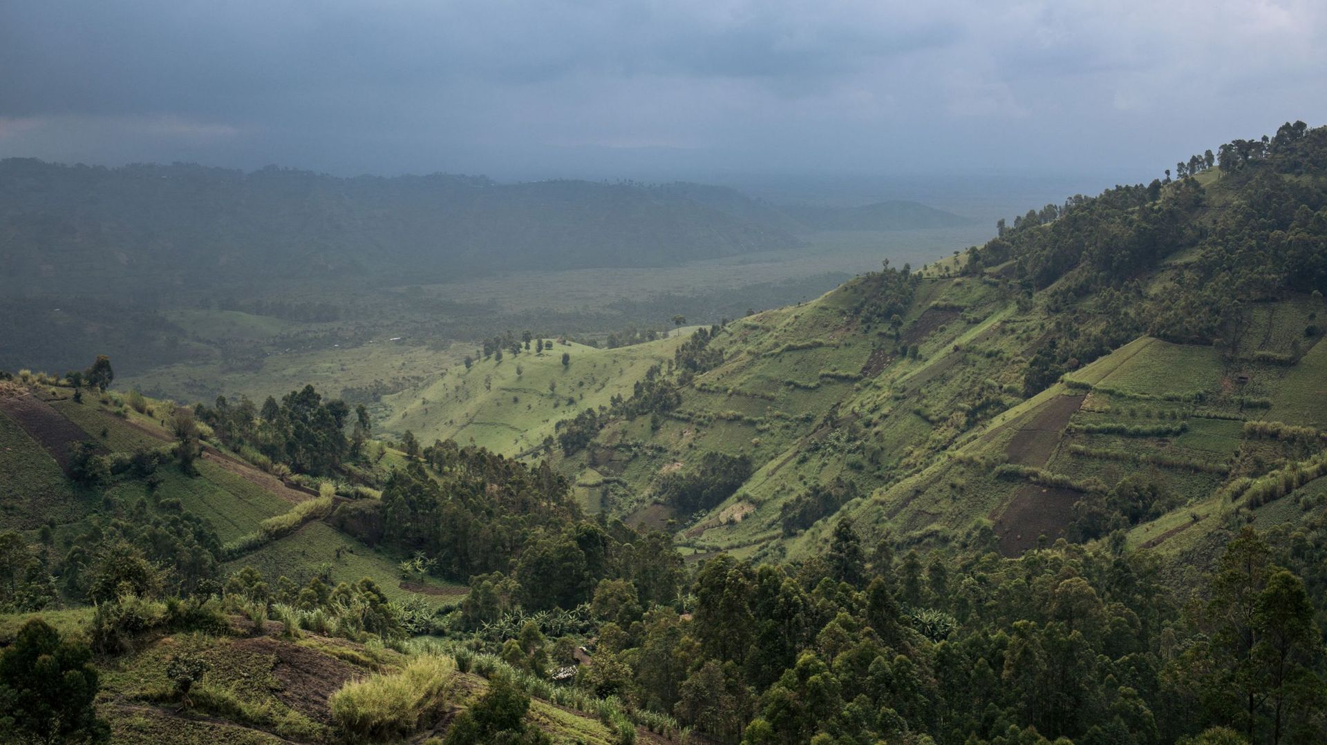 Image du parc national du Virunga, dans la province congolaise du Nord Kivu, en 2019 (illustration)