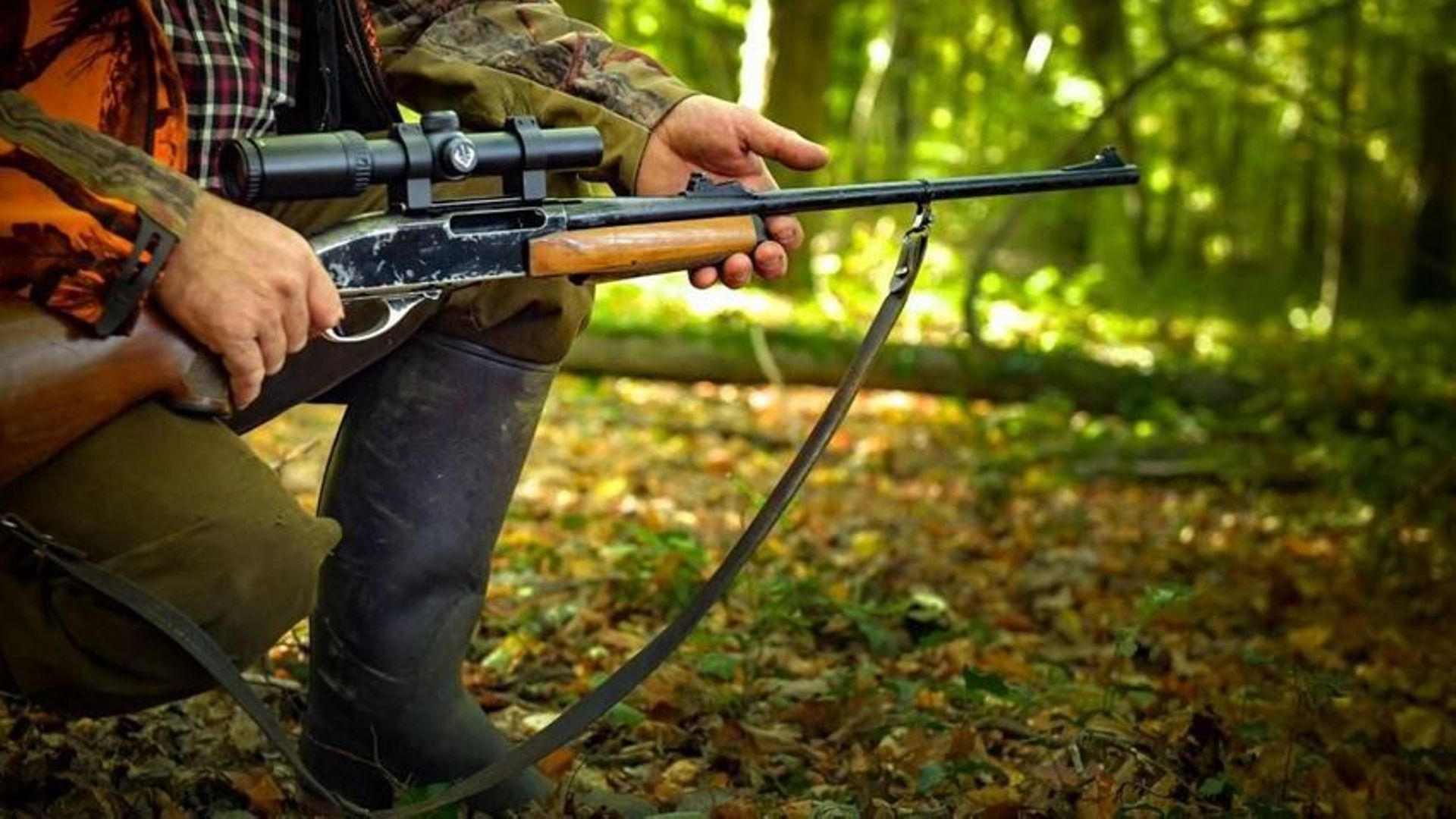 Des chasseurs demandent l'interdiction de pratiques jugées "abusives et excessives"