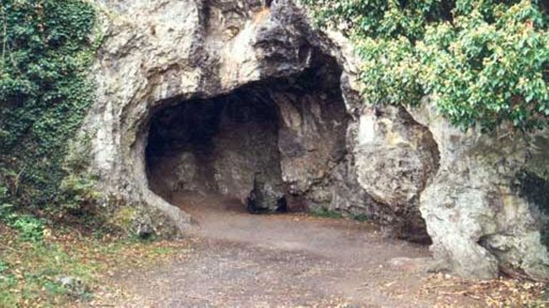 La Wallonie et le Néandertal : La grotte de Spy, confirmation de l’existence d’un « être humain archaïque »